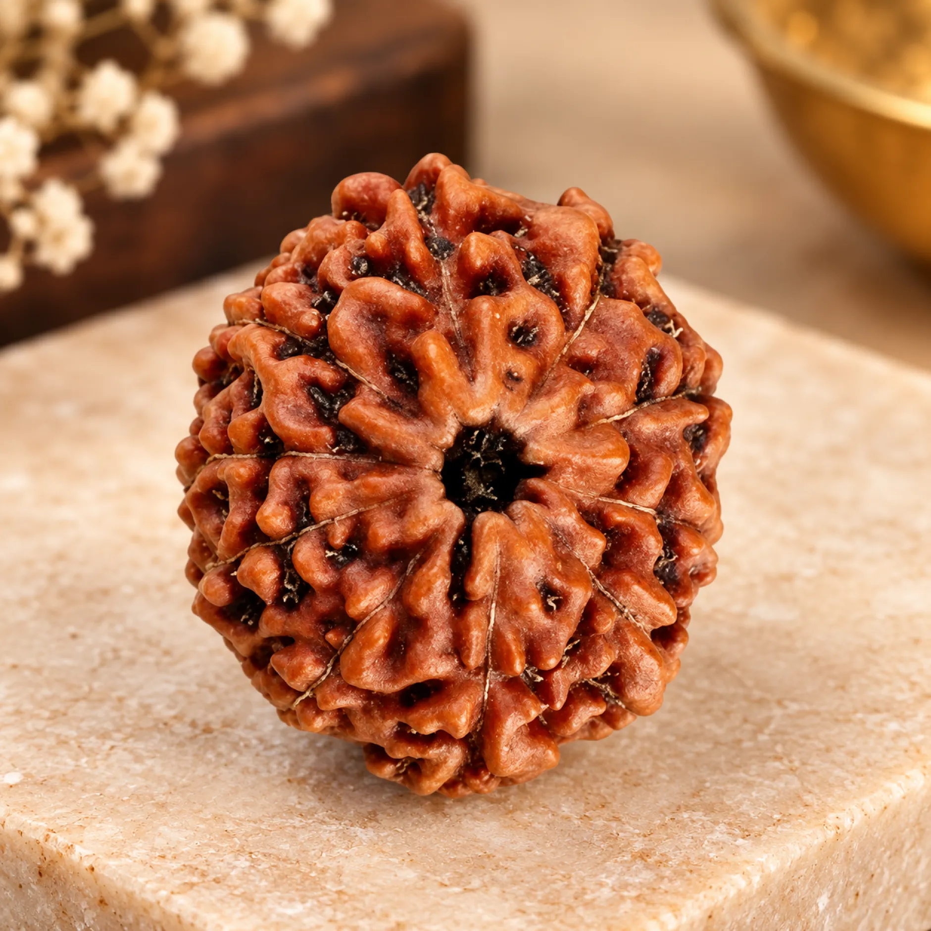 16 Mukhi Indonesian Rudraksha – Benefits, Mantra and Mahakaal Shiva Significance