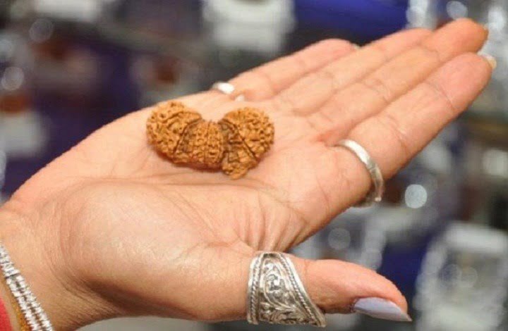 Rudraksha Therapy: How It Works, Benefits and Choosing Authentic Beads