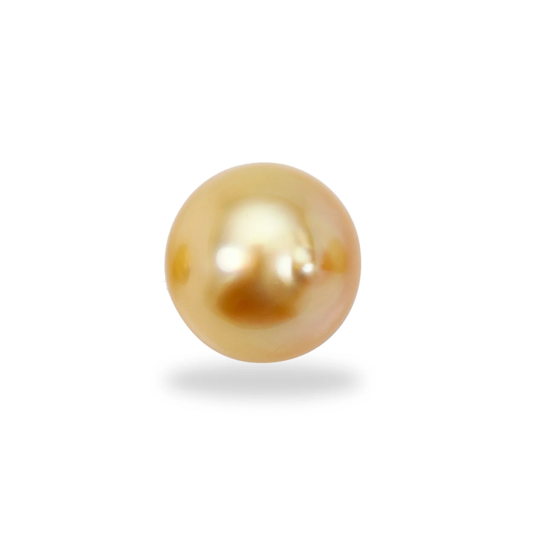 Certified South Sea Pearl Golden Pearl